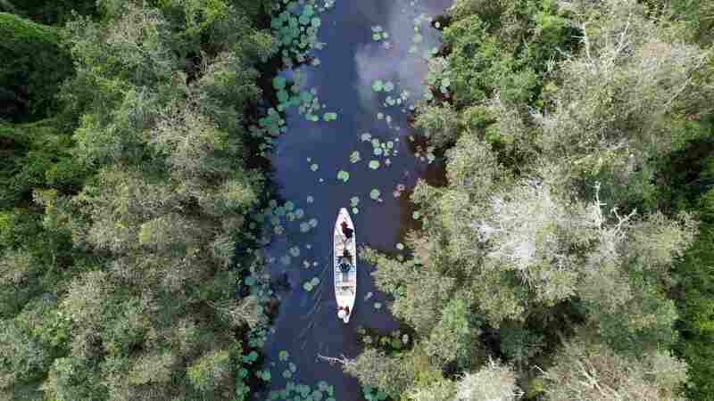 Làng nổi Tân Lập, đóa hoa dại giữa sông nước Đồng Tháp Mười 15