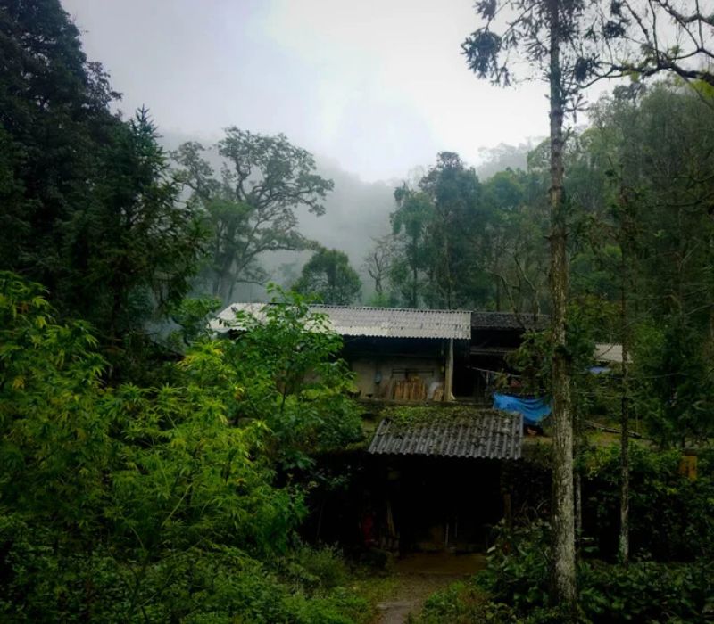 Làng Sảo Há: Vẻ đẹp ma mị giữa lòng cao nguyên đá 8