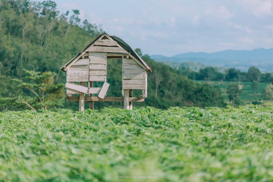 Lang thang Kon Tum khám phá bức tranh hùng vĩ nơi đại ngàn bình yên 6