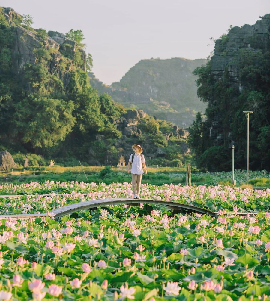 Lang thang Ninh Bình qua những điểm đến bình yên 3