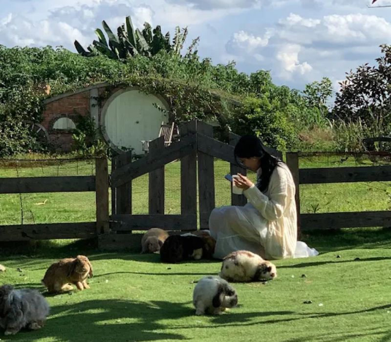 Review Làng Thỏ Little Hobbiton Đà Lạt: Giá vé, đường đi và lưu ý 7