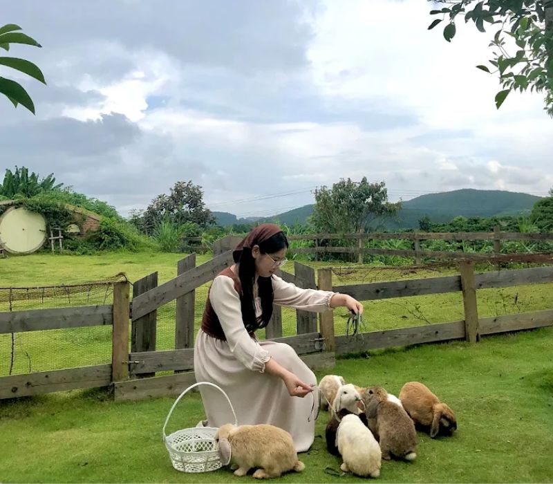 Review Làng Thỏ Little Hobbiton Đà Lạt: Giá vé, đường đi và lưu ý 3