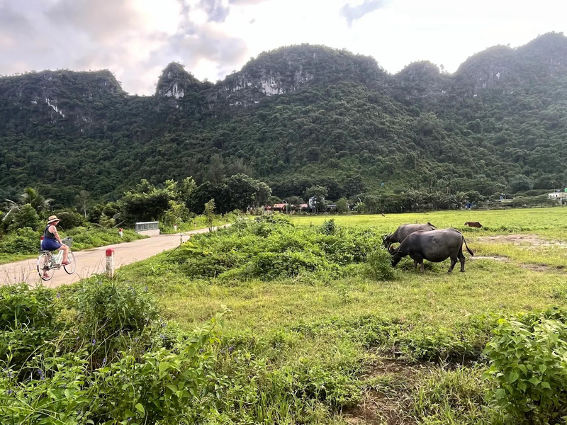 Khám phá làng Việt Hải viên ngọc thô giữa lòng Cát Bà Hải Phòng 3