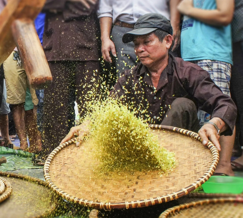 Ngát hương Làng Vòng : Địa danh nổi tiếng với nghề làm cốm 3