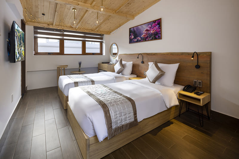 Lasol Boutique Hotel: Không gian thơ giữa Đà Lạt mờ sương 4