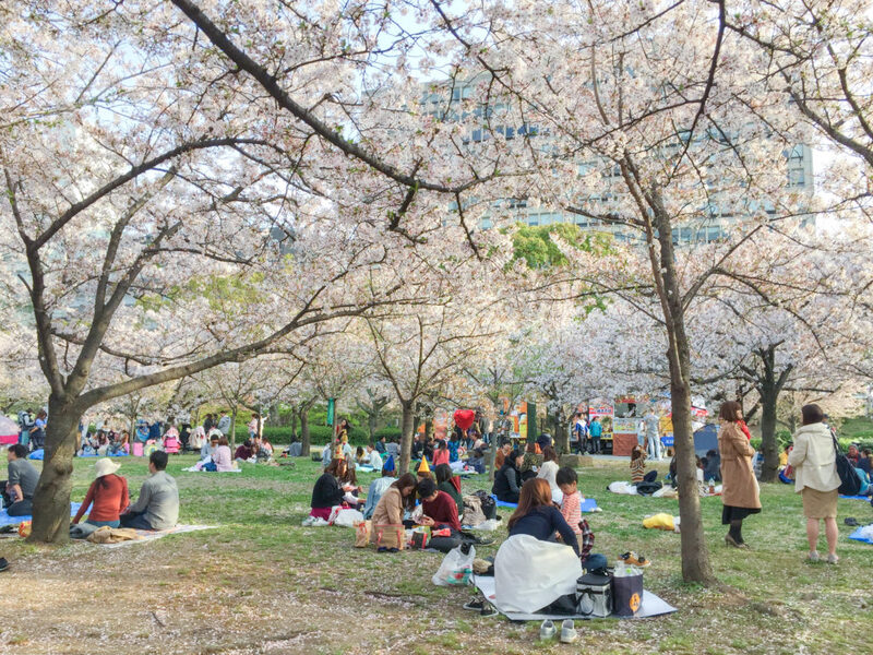 Lâu đài Osaka chứng nhân qua bao thăng trầm trong lịch sử Nhật Bản 10