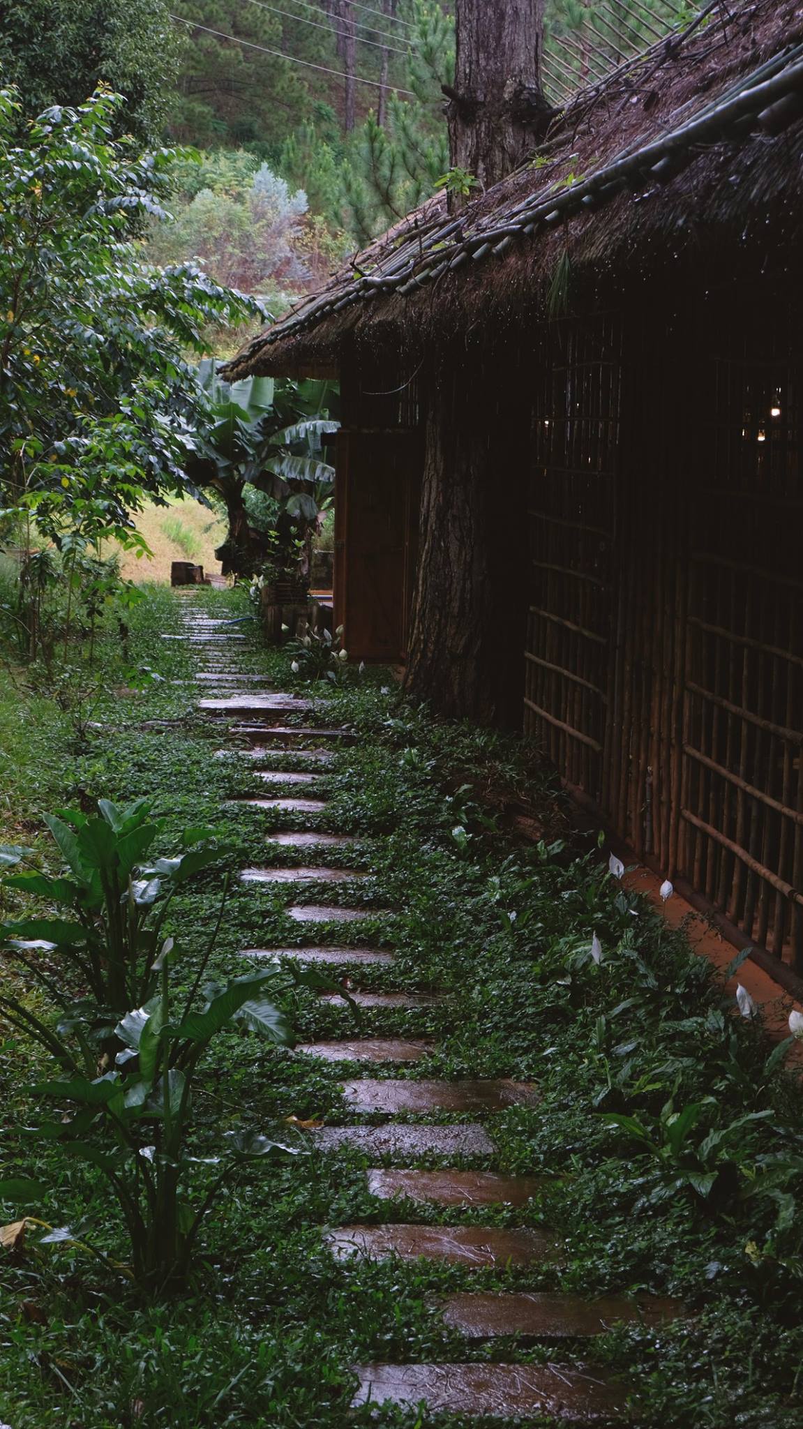 Lavenderdalat Coffee House - Quán cà phê có view Hồ Tuyền Lâm quyến rũ khiến ai cũng say lòng tại Đà Lạt 3