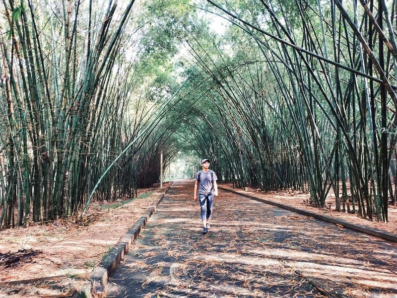 Lễ 2/9 đi đâu chơi gần Sài Gòn? Top 13 địa điểm đáng trải nghiệm 8
