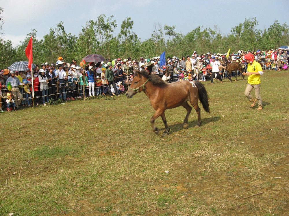 Lễ hội đua ngựa Gò Thì Thùng - Nét văn hóa đặc sắc của Phú Yên 4