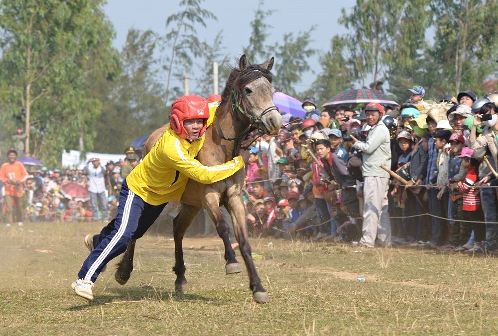 Lễ hội đua ngựa Gò Thì Thùng - Nét văn hóa đặc sắc của Phú Yên 5
