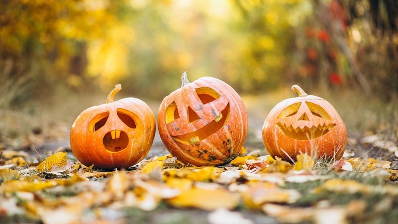 Halloween là ngày nào?? Nguồn gốc và ý nghĩa lễ hội độc đáo này 2