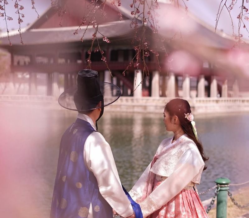 Lễ hội Hoa Anh Đào Hàn Quốc: Lịch nở, địa điểm và kinh nghiệm du lịch 10