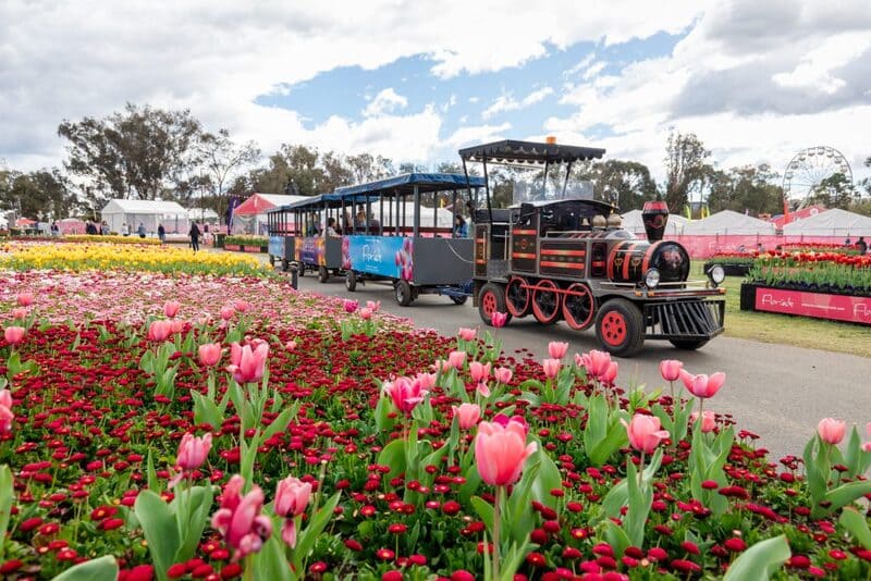 Rực rỡ hương sắc tại Lễ hội hoa Floriade nổi tiếng nước Úc 6