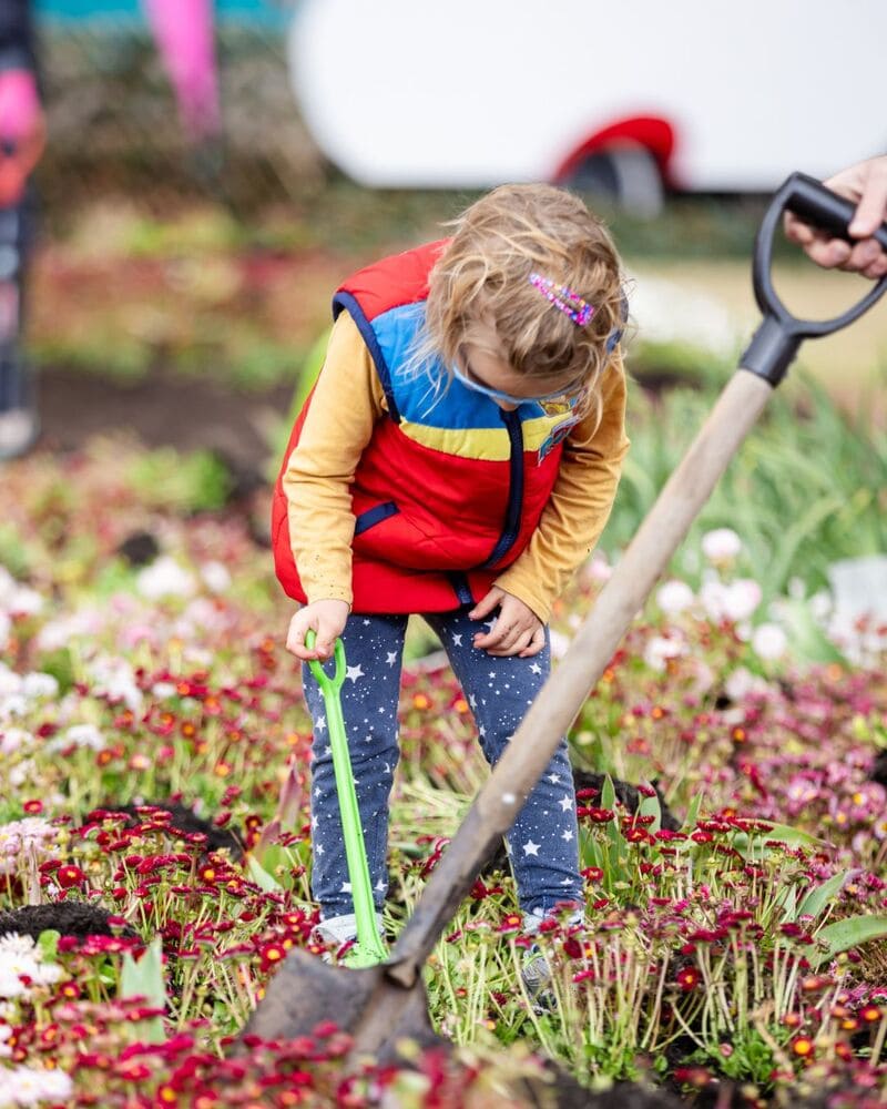 Rực rỡ hương sắc tại Lễ hội hoa Floriade nổi tiếng nước Úc 10