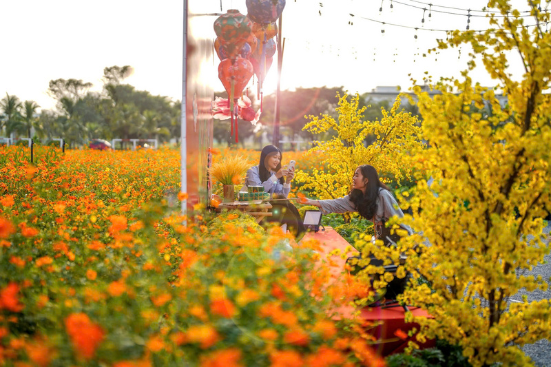 Lễ hội hoa Tết Vạn Phúc 2026 mang sắc xuân 4 miền hội tụ 2