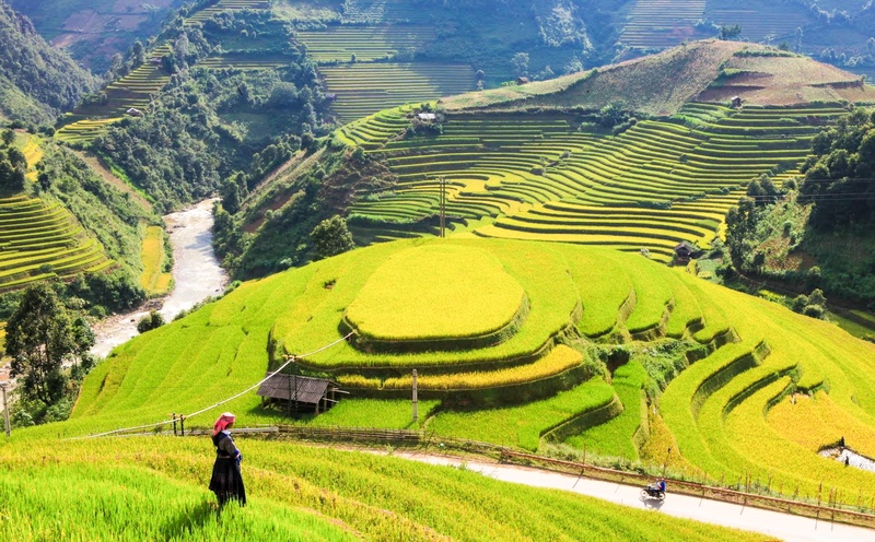 Những lễ hội mùa thu rực rỡ bản sắc văn hóa và thiên nhiên Việt Nam 2