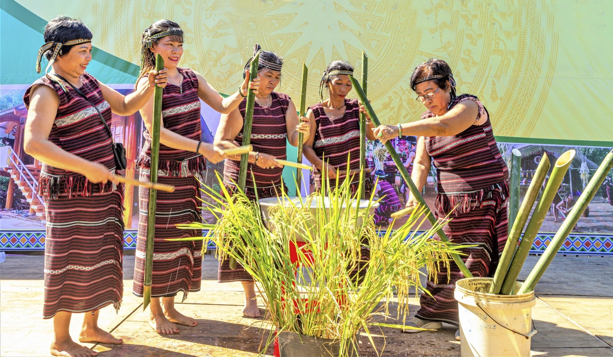 Lễ hội Nhan Lúa, Thần Nông (Châu Ro) truyền thống có gì đặc sắc 3