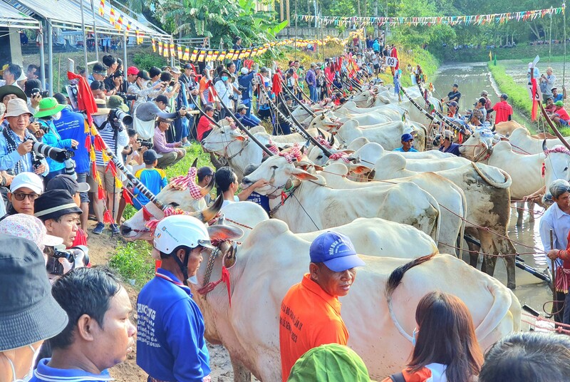 Lễ hội Sene Dolta kết nối đời sống tâm linh của người Khmer Nam Bộ 5