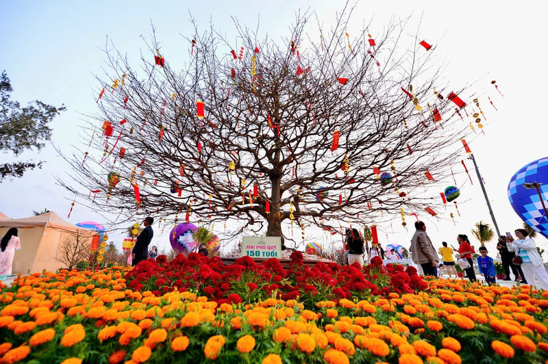 Lễ hội Xuân Cần Giờ: Sắc màu văn hóa dân dã miền biển 9