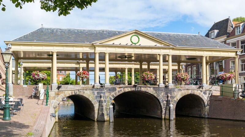 Du lịch Leiden: Vùng đất đậm văn hóa, lịch sử giữa Hà Lan 5