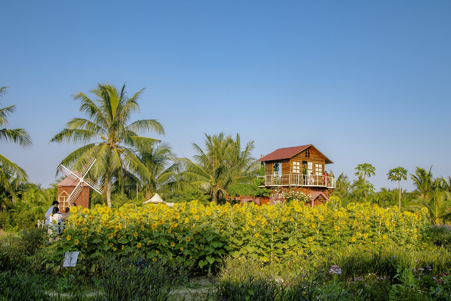 Du lịch Ẩm thực Đặc sản miền T&acirc;y bạc li&ecirc;u, cần thơ, s&oacute;c trăng, hậu giang, ki&ecirc;n giang, an giang Ph&uacute; Quốc - H&agrave; Ti&ecirc;n - An Giang - Ch&acirc;u Đốc, c&agrave; mau, tiền giang, tr&agrave; vinh, bến tre, vĩnh long, đồng th&aacute;p, long an, t&acirc;y ninh | li&ecirc;n hệ Quảng c&aacute;o 0915326788 phuc0915326788@gmail.com