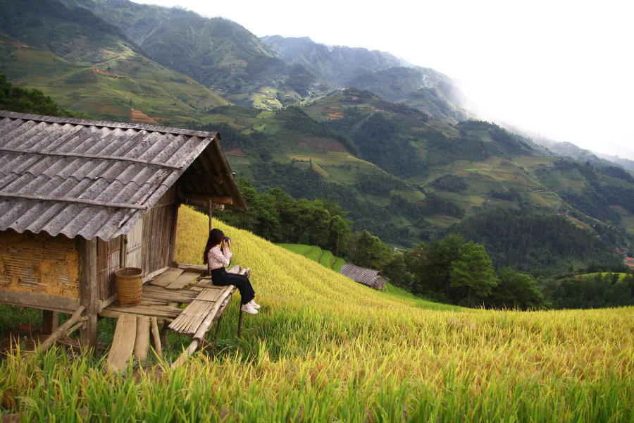 Lên đường khám phá Mù Cang Chải săn mùa lúa chín vàng 3