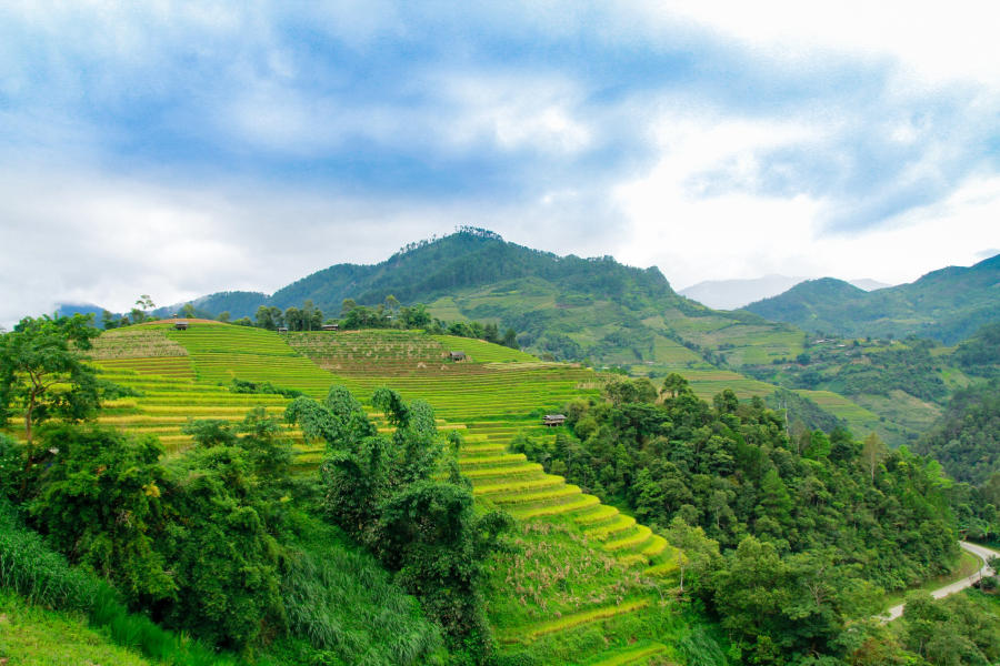 Lên đường khám phá Mù Cang Chải săn mùa lúa chín vàng 5