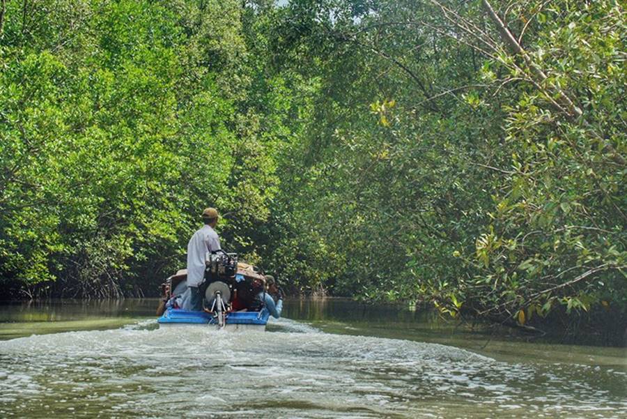 Lên kế hoạch lịch trình Cà Mau 2 ngày 1 đêm vui quên lối về 11