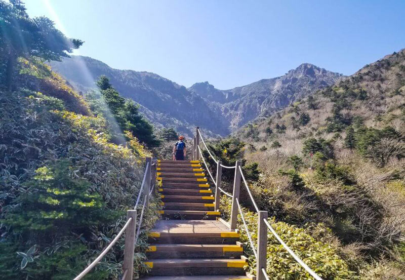 Chinh phục đỉnh núi Hallasan, nóc nhà của Hàn Quốc 7