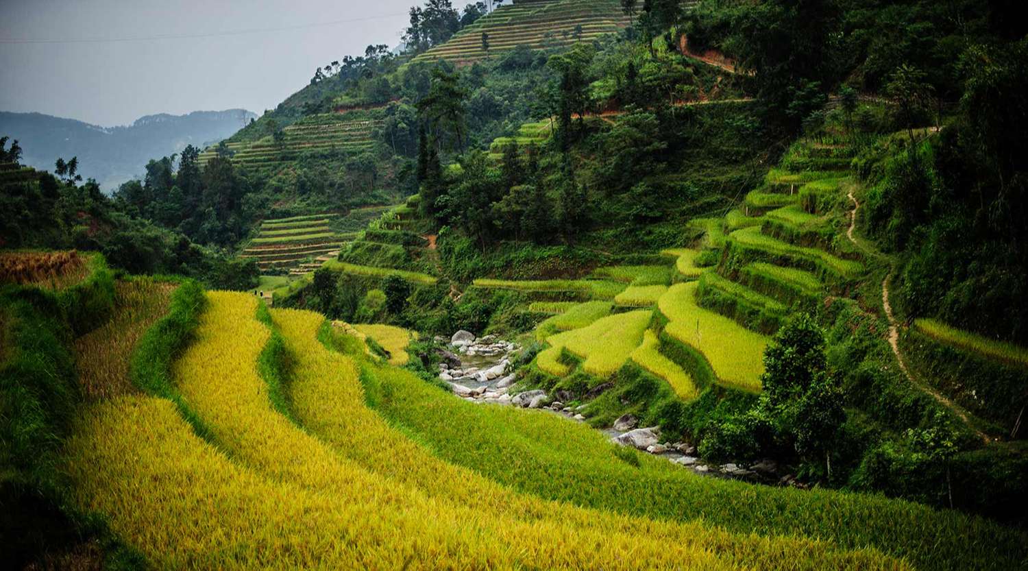 Lịch trình chinh phục cao nguyên đá Đồng Văn tự túc 3N2Đ 3