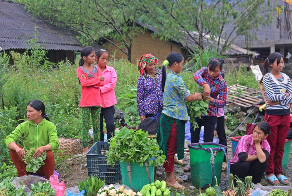 Lịch trình Hà Giang tự túc 3N2Đ cực chi tiết từ Hà Nội 11