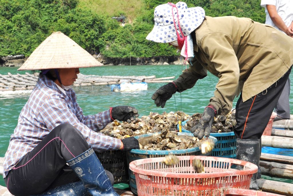 Lịch trình khám phá đảo Long Sơn trong 1 ngày - Trải nghiệm cuộc sống ngư dân làng bè 10