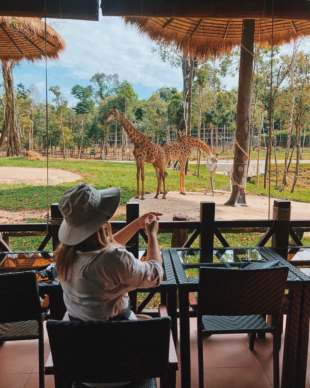 Lịch trình khám phá Vinpearl Safari Phú Quốc - Khu bán vườn thú hoang dã lớn nhất Việt Nam 10