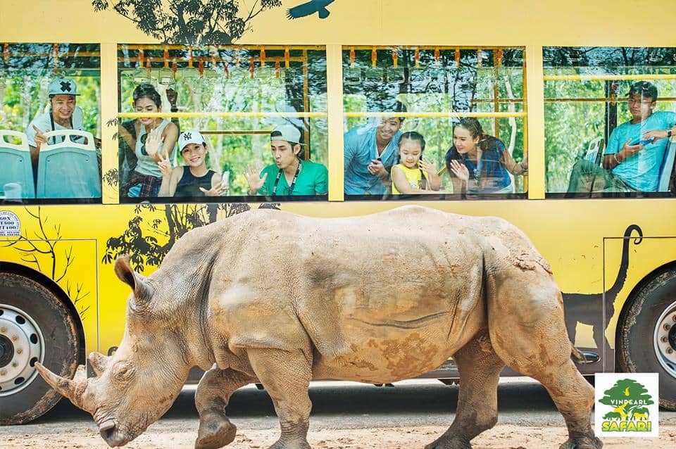 Lịch trình khám phá Vinpearl Safari Phú Quốc - Khu bán vườn thú hoang dã lớn nhất Việt Nam 7