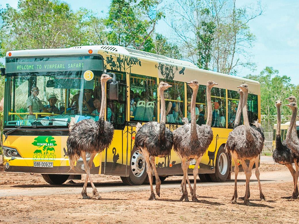 Lịch trình khám phá Vinpearl Safari Phú Quốc - Khu bán vườn thú hoang dã lớn nhất Việt Nam 8