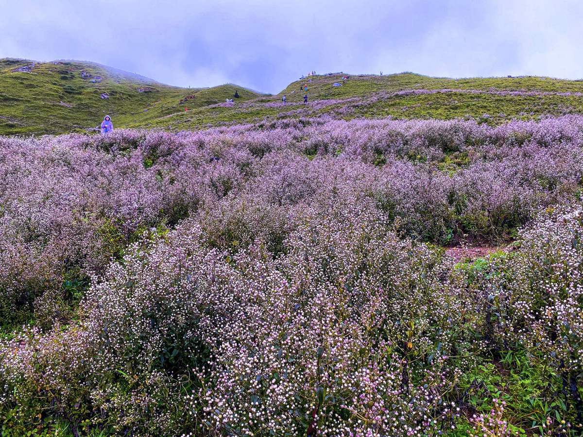 Lịch trình trekking Tà Chì Nhù 3N2Đ - Ngọn núi cao thứ 7 Việt Nam 2