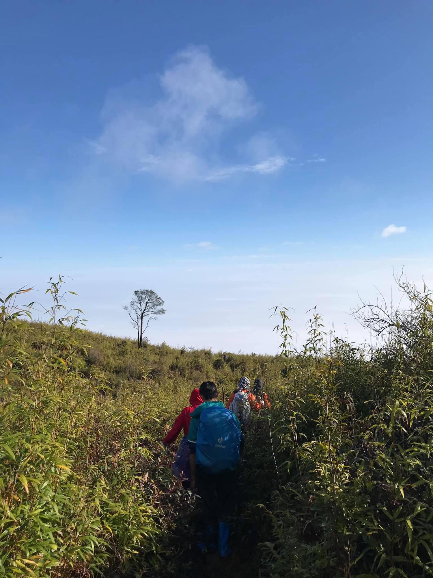 Lịch trình trekking Tà Xùa 3N2Đ - 72 giờ leo núi săn mây 6