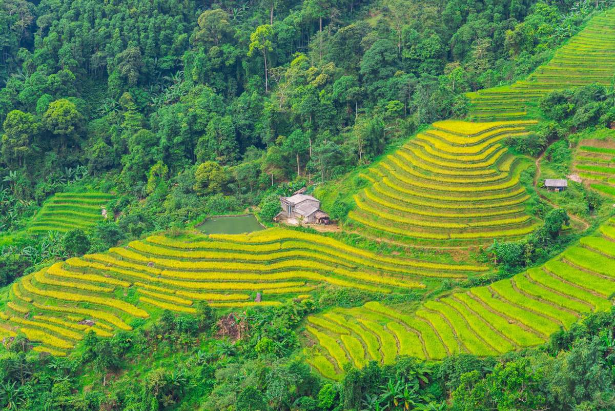 Lịch Trình trekking và trải nghiệm văn hóa bản địa Hoàng Su Phì 3