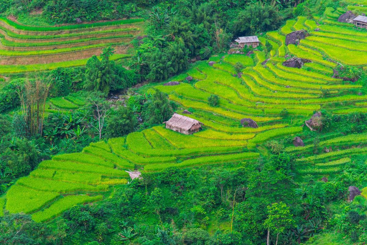 Lịch Trình trekking và trải nghiệm văn hóa bản địa Hoàng Su Phì 5