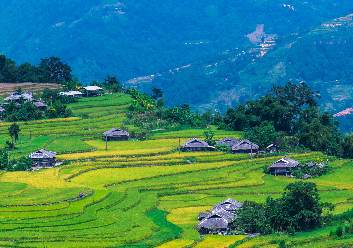 Lịch Trình trekking và trải nghiệm văn hóa bản địa Hoàng Su Phì 10