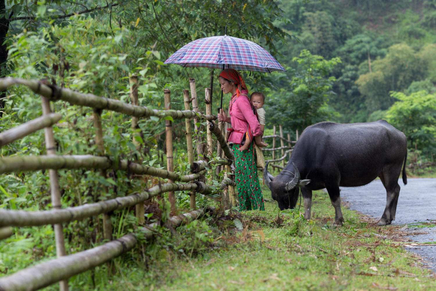 Lịch Trình trekking và trải nghiệm văn hóa bản địa Hoàng Su Phì 11