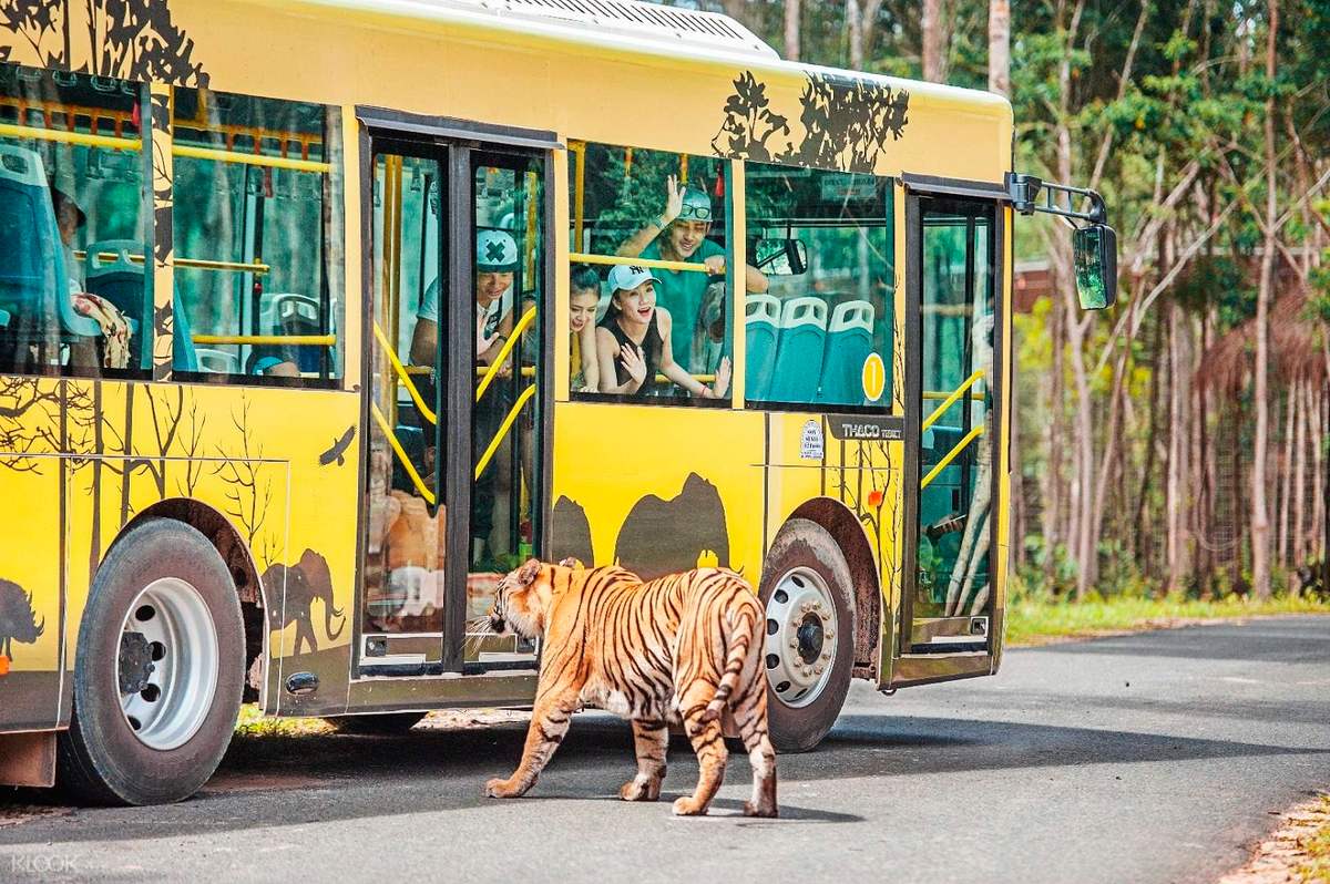 Lịch trình xe bus Phú Quốc tuyến VinWonders và Vinpearl Safari 7