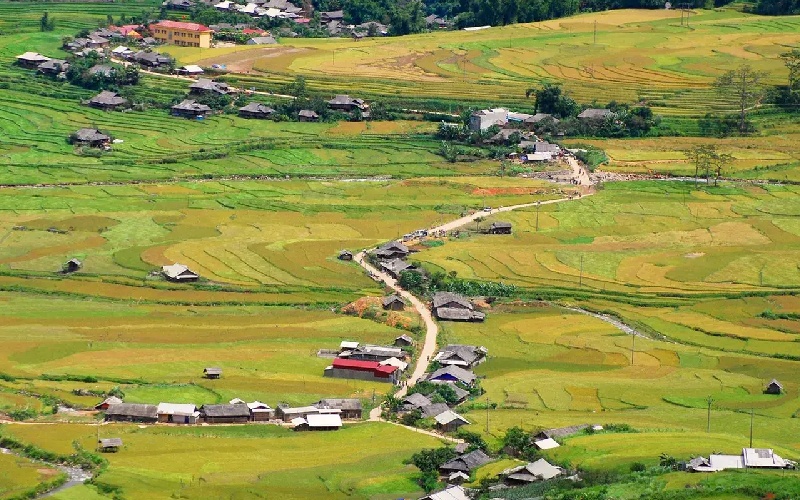 Lìm Thái và những trải nghiệm chân thật tại Mù Cang Chải 9