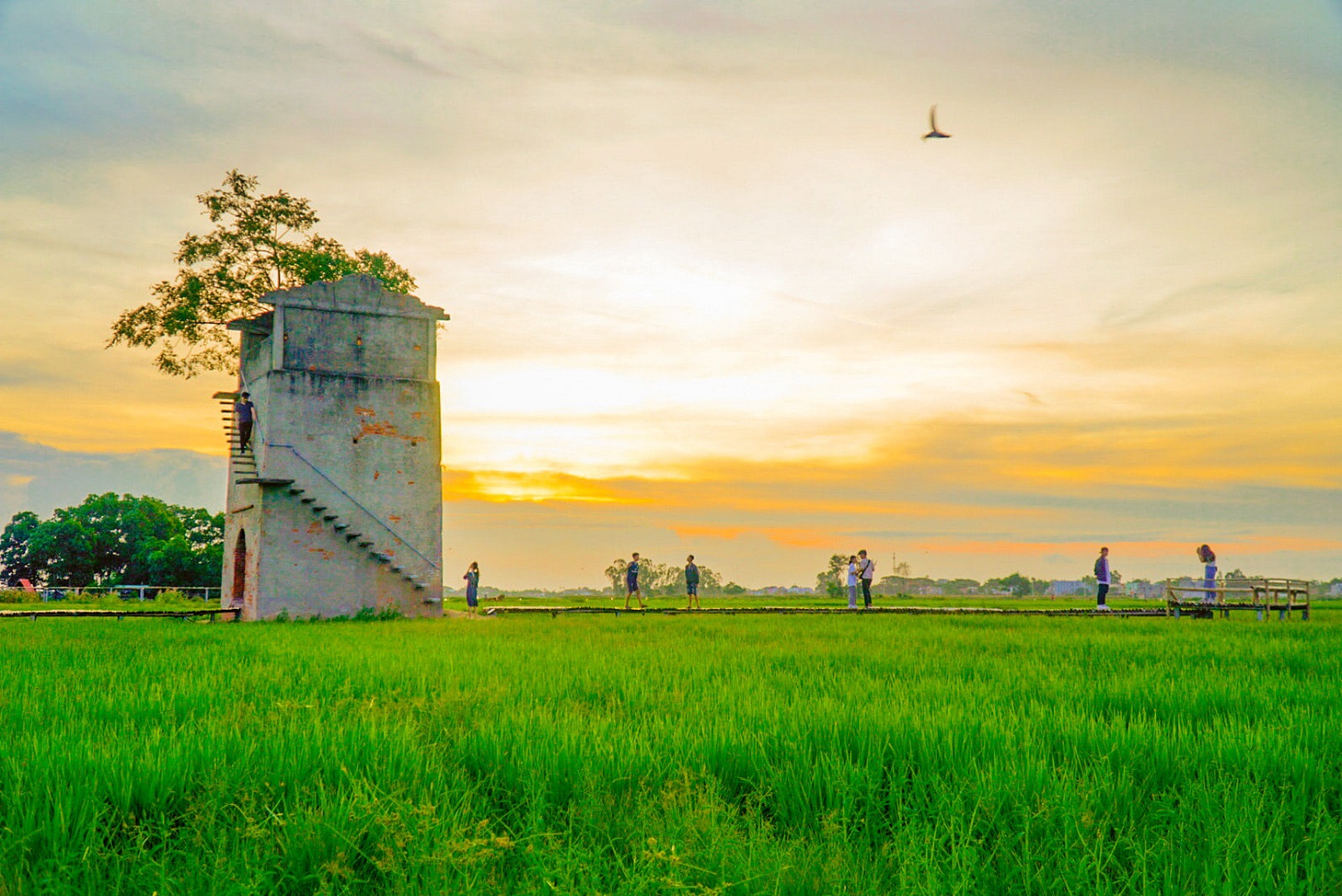 Lò gạch cũ Duy Vinh Hội An – Săn ảnh check-in đẹp như phim 3