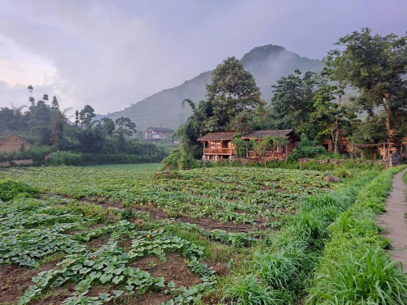 LoLo Eco House, ngôi nhà truyền thống giữa núi rừng Hà Giang 9
