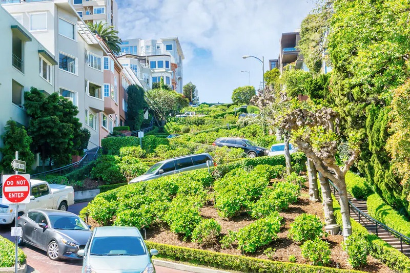 Lombard Street quanh co bên những luống hoa khoe sắc ở San Francisco 4