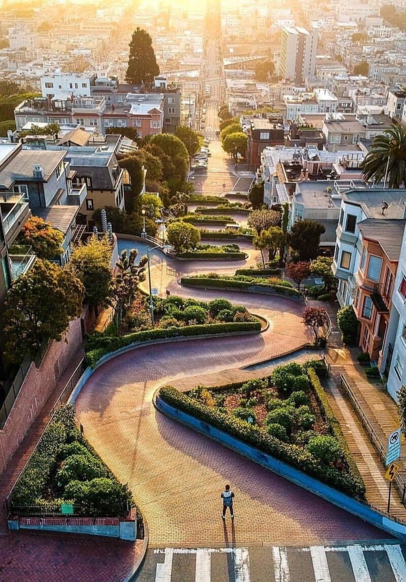 Lombard Street quanh co bên những luống hoa khoe sắc ở San Francisco 7