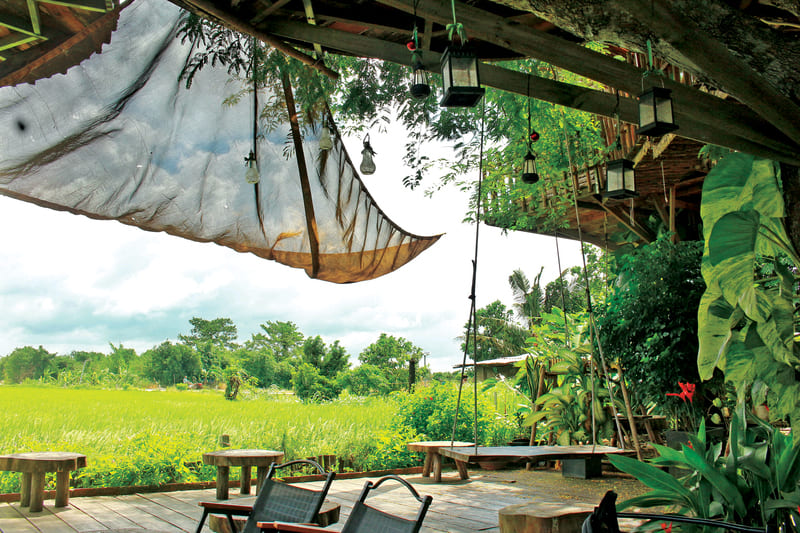 Lúa Cafe Vũng Tàu: Quán cà phê giữa đồng ruộng cực chill 5