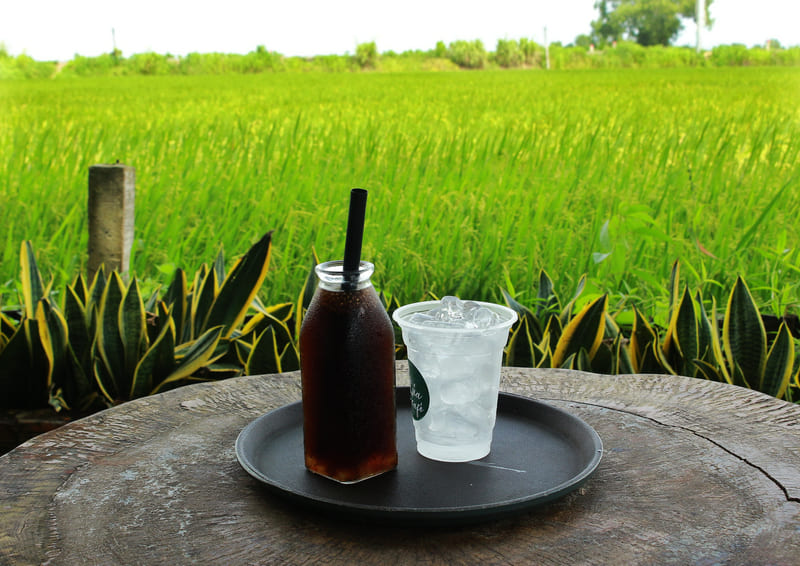 Lúa Cafe Vũng Tàu: Quán cà phê giữa đồng ruộng cực chill 7