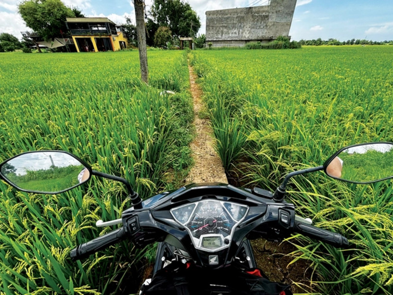 Lúa Cafe Vũng Tàu: Quán cà phê giữa đồng ruộng cực chill 3